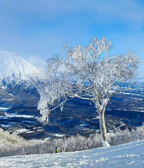 Niseko